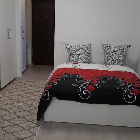 Irvin Apartament Iasi Eksteriør billede
