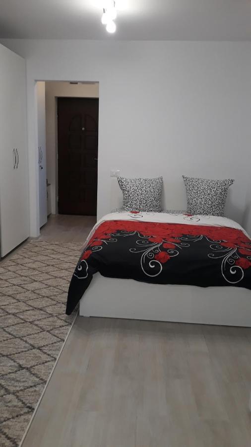 Irvin Apartament Iasi Eksteriør billede
