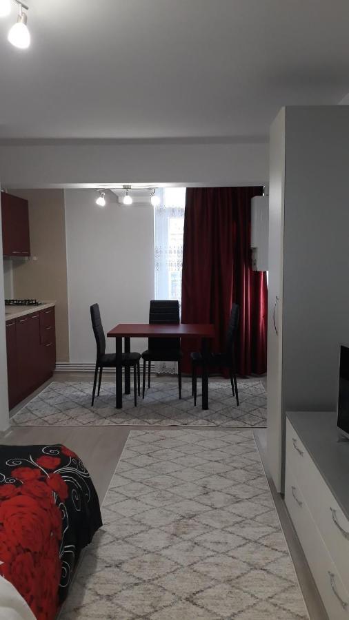Irvin Apartament Iasi Eksteriør billede