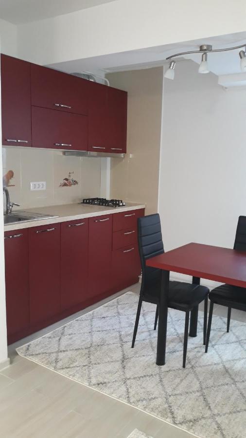 Irvin Apartament Iasi Eksteriør billede